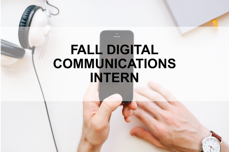 Fall Digital Communications Intern